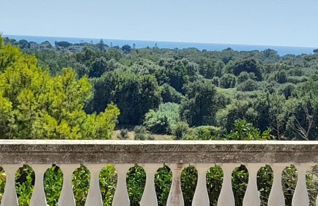 Villa Filomena-1